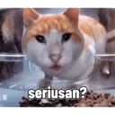 Çıkartma