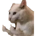 Adhesiu