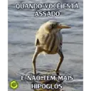 Adhesiu