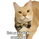 Figurinha