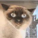 스티커
