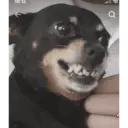스티커