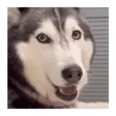 스티커