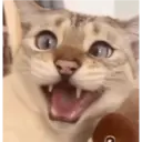 스티커