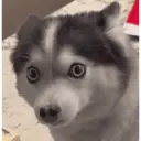 스티커
