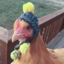 Налепница