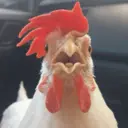 Налепница