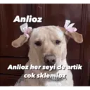 Çıkartma