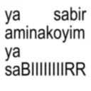 Límmiði