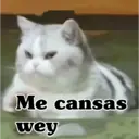 Nhãn dán