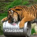 Стикер