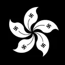 Adhesiu