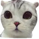 Naklejka