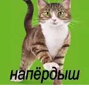 Naklejka