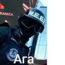 Stika