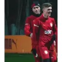 Samolepka
