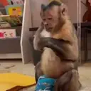 Pelekat