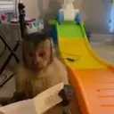 Pelekat