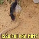 Figurinha