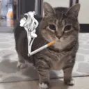 ステッカー