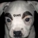 Figurinha