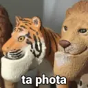 Figurinha
