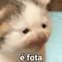 Figurinha
