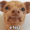 Figurinha