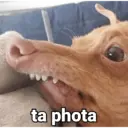 Figurinha