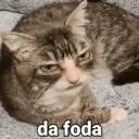 Figurinha