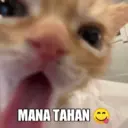 Çıkartma