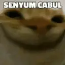 Çıkartma
