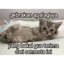 Límmiði