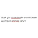 Límmiði