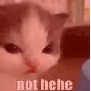 스티커