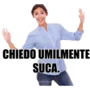 Samolepka
