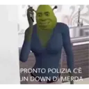 Samolepka