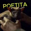 Figurinha