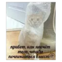 Стикер