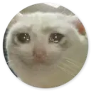 ملصق