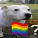 Կպչուն պիտակ