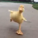 贴纸