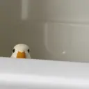 贴纸
