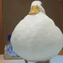 贴纸