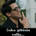 Stika