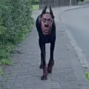 స్టికర్