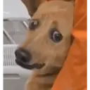 Samolepka