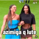 Çıkartma