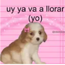 Figurinha