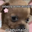 Figurinha